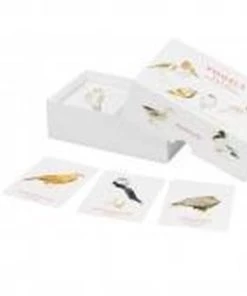 Christine Berrie Vogels Een Memospel