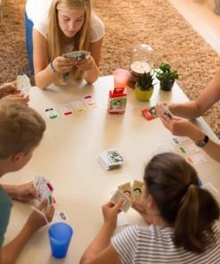 Shuffle Monopoly Deal - Kaartspel 17 Shuffle Monopoly Deal - Kaartspel -spellen-voor-volwassenen Winkel 550x366 103