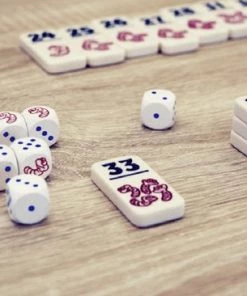 999 Games Regenwormen Dobbelspel 14 999 Games Regenwormen Dobbelspel -spellen-voor-volwassenen Winkel 550x366 155