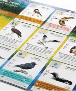 Merkloos Spellenbundel - 3 Stuks - Wingspan & Uitbreidingen Oceani & Europa -spellen-voor-volwassenen Winkel 550x366 162