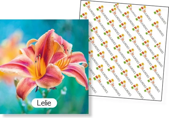Huurdies Cadeautip! Educatief Bloemen Memory Spel - Bloemen Soorten - Educatief Memory Spel - 70 Stuks - Schoencadeautjes Sinterklaas 4 Huurdies Cadeautip! Educatief Bloemen Memory Spel - Bloemen Soorten - Educatief Memory Spel - 70 Stuks - Schoencadeautjes Sinterklaas - Afbeelding 4