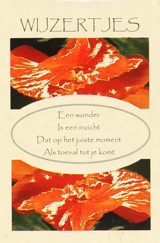 M.I. Van Dijk-Boelhouwer Wijzertjes Inzichtkaarten 1 M.I. Van Dijk-Boelhouwer Wijzertjes Inzichtkaarten